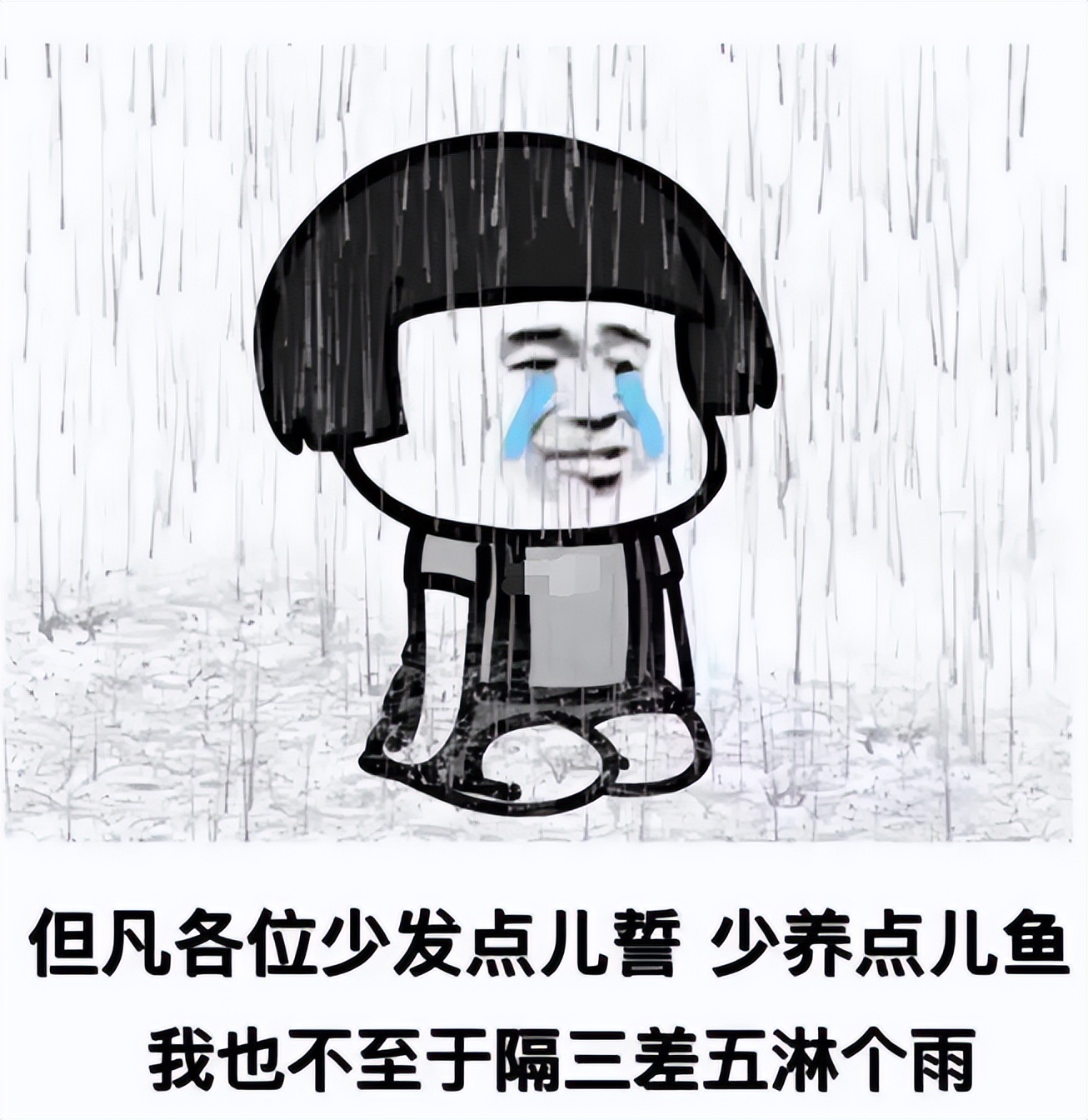 一不小心成变态！“Ilovecat”不是“我喜欢猫”