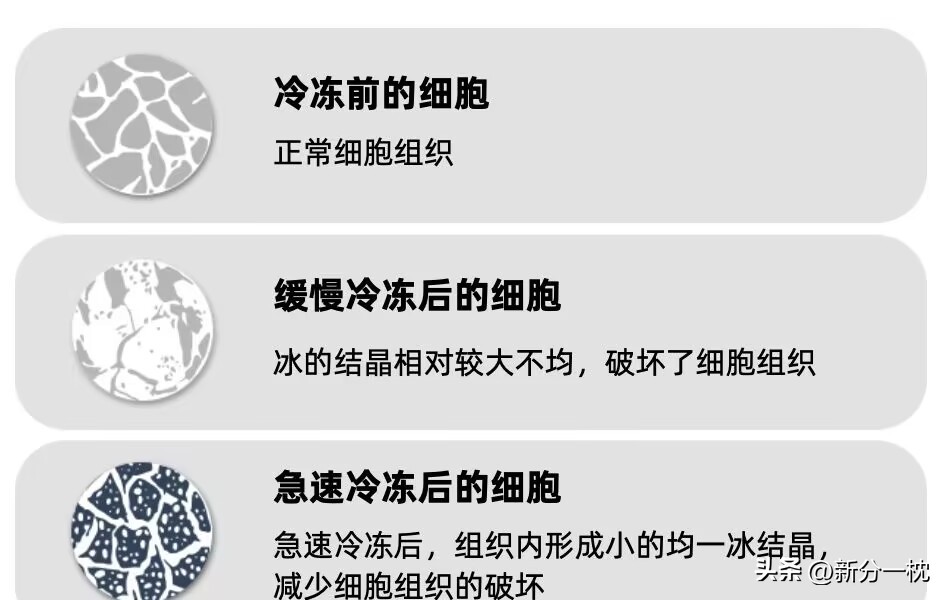 速冻食品会出现什么质量安全问题,速冻食品营养真的很差么