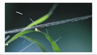 电动冲牙器便携式深层清洁牙齿,牙刷电动软毛护牙