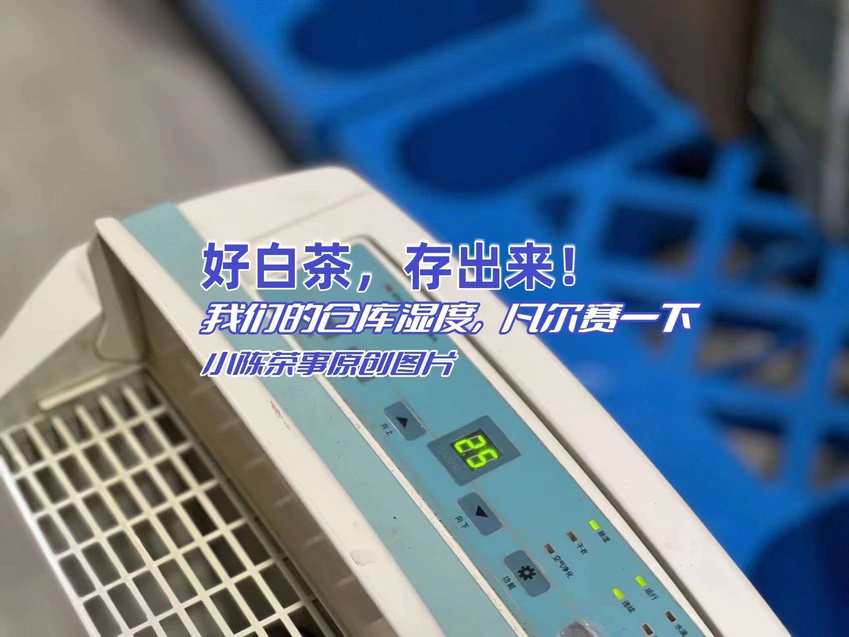 茶知识白茶的保存有什么诀窍,日常存白茶有哪些存茶细节要注意