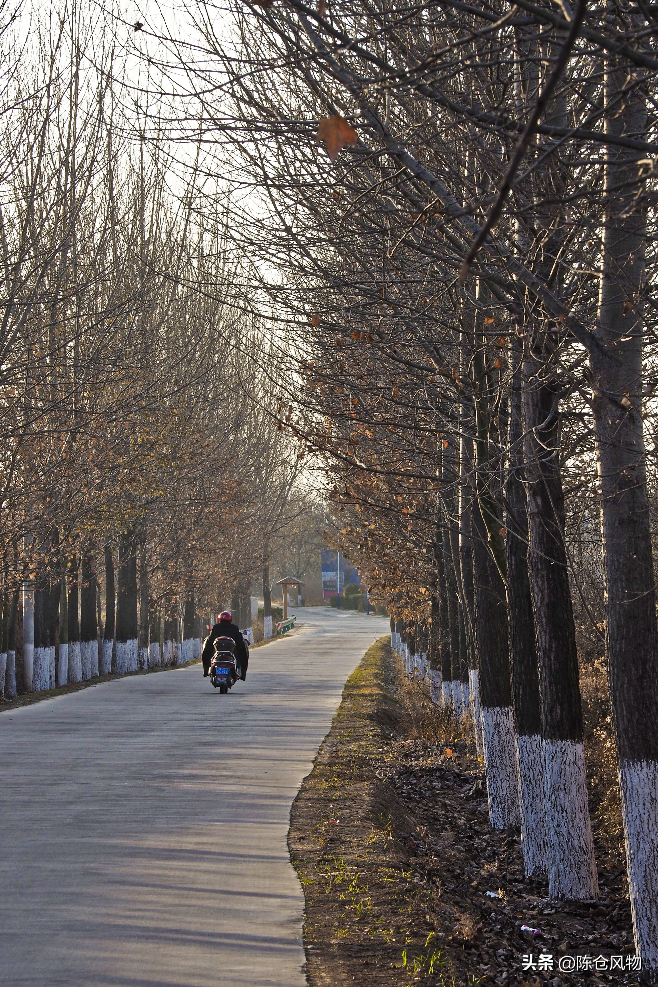 凤翔灵山老母求姻缘,凤翔灵山求姻缘有啥讲究