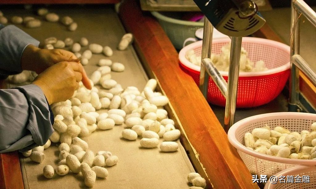 假一赔一万的蚕丝被可信吗,精品蚕丝被假一赔百