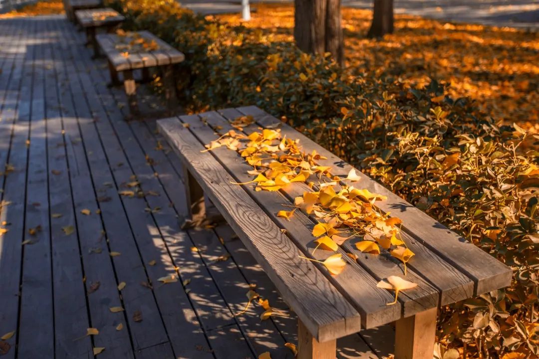 含有秋字的古诗100首飞花令,带秋字的诗句飞花令100句