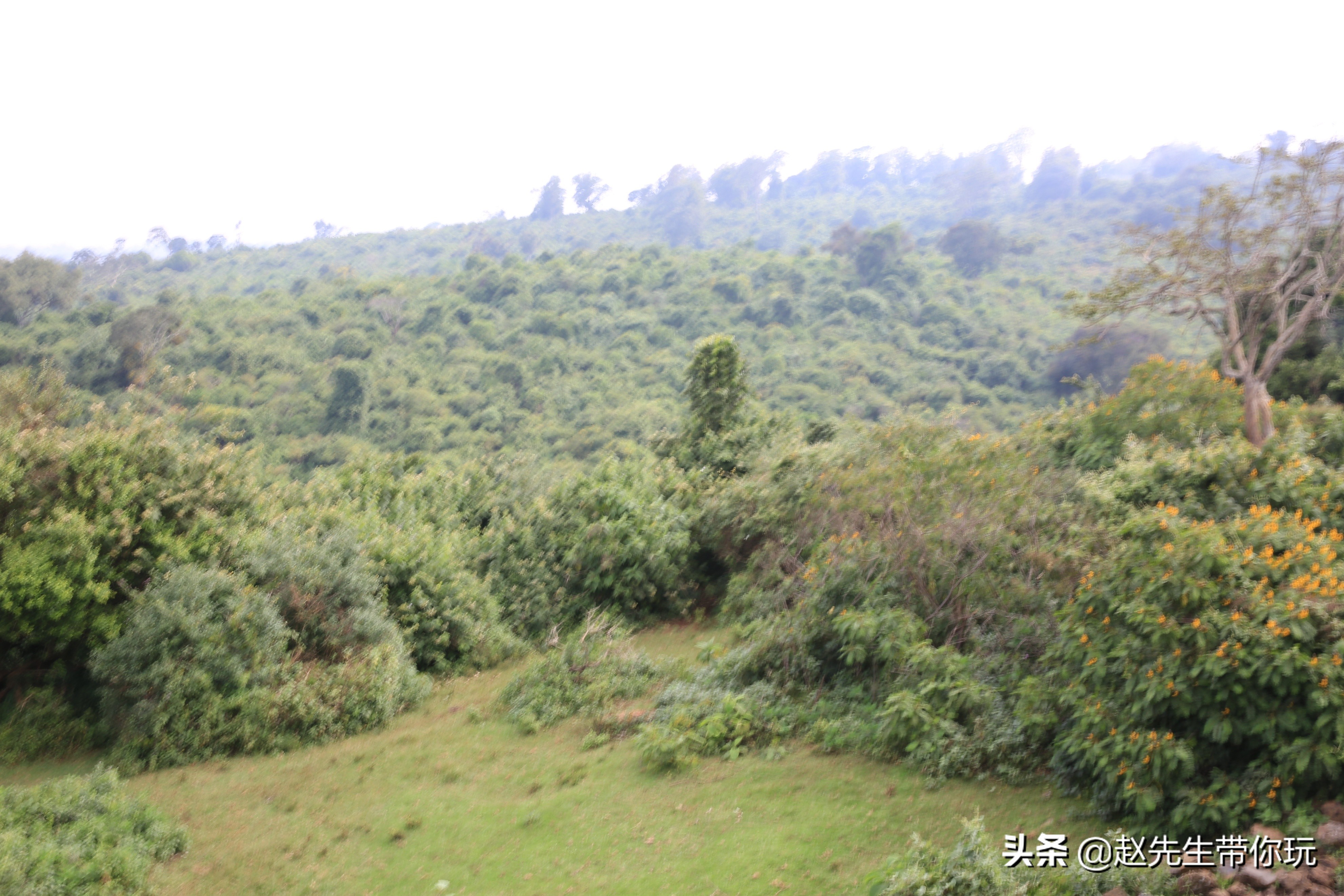 二十年游历分享之202:非洲19:肯尼亚18尼耶利的方舟酒店