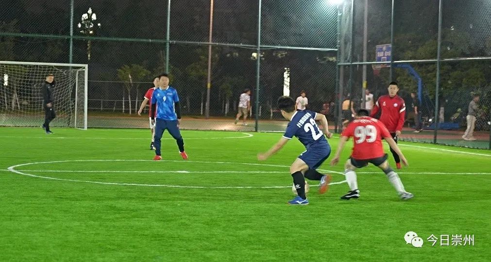 崇州好看的公园,崇州附近的网红公园