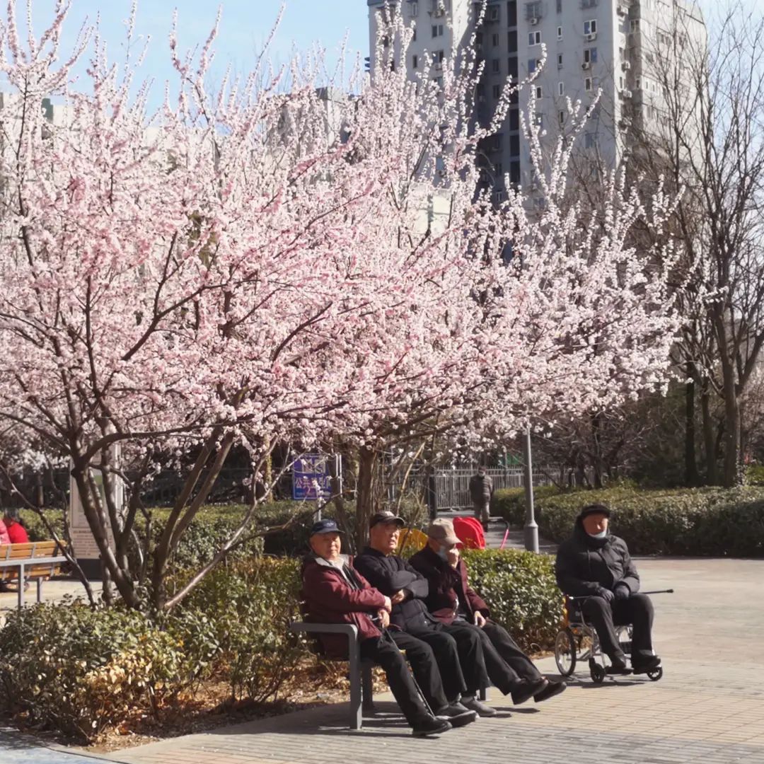 错过了一个秋天,错过了一个春秋