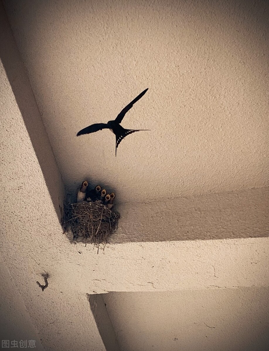 报得三春晖中晖是什么意思,报得三春晖的三春指的是