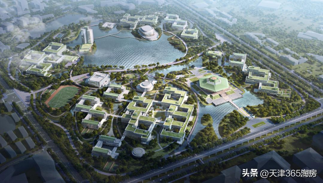 新贵！天津唯一的“学体医”板块，要爆发了！