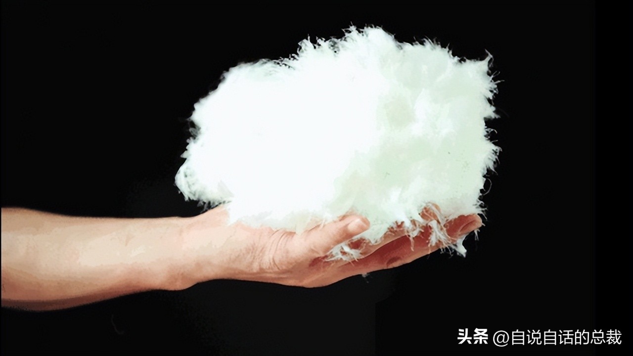 鸭：一鸭战四虎？弹射胜航母？鸭子的真相，也许超乎你的想象