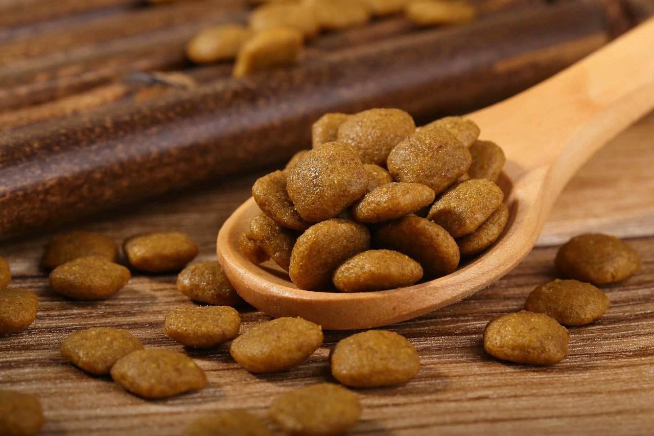 最好国产狗粮排行榜伯纳天纯,2021十大国产良心狗粮排名