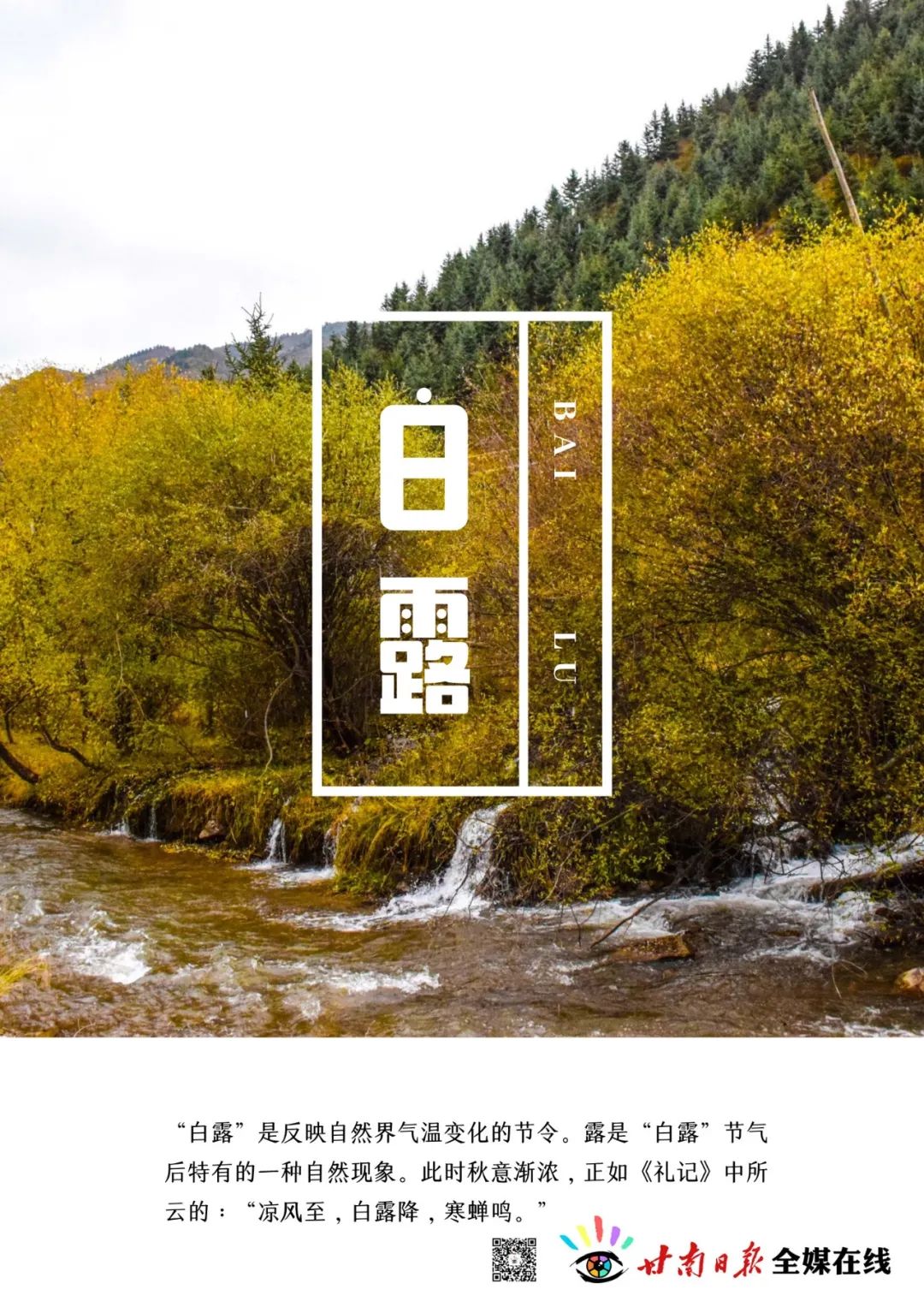 今日白露养生,今日白露节气