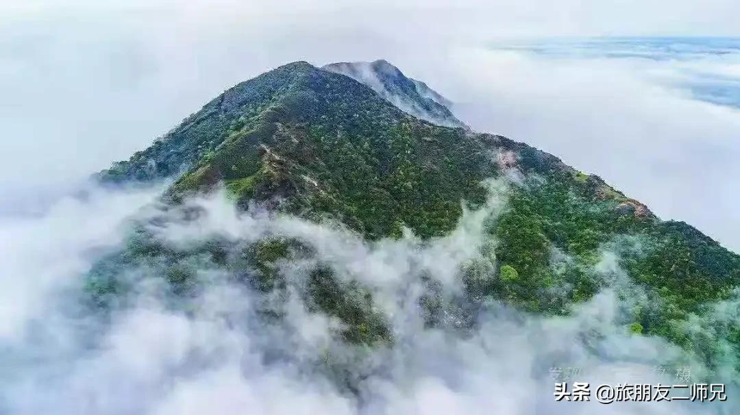 清远金子山旅游攻略看雾凇,广东金子山雪景旅游攻略