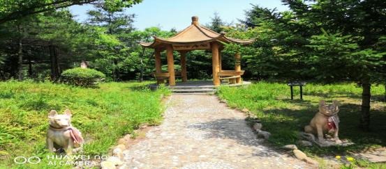 大连安波鸿缘温泉山庄,安波鸿缘温泉山庄