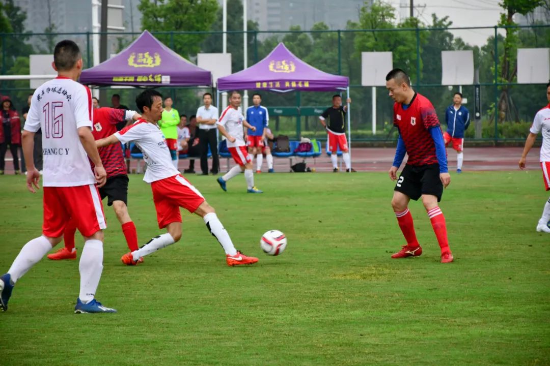 2023毛铺紫荞杯,毛铺紫荞酒湖北