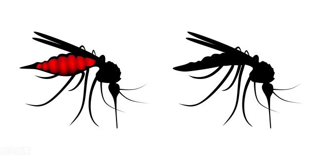 一个房间为什么蚊子只叮我,为什么房子里总是有很多蚊子