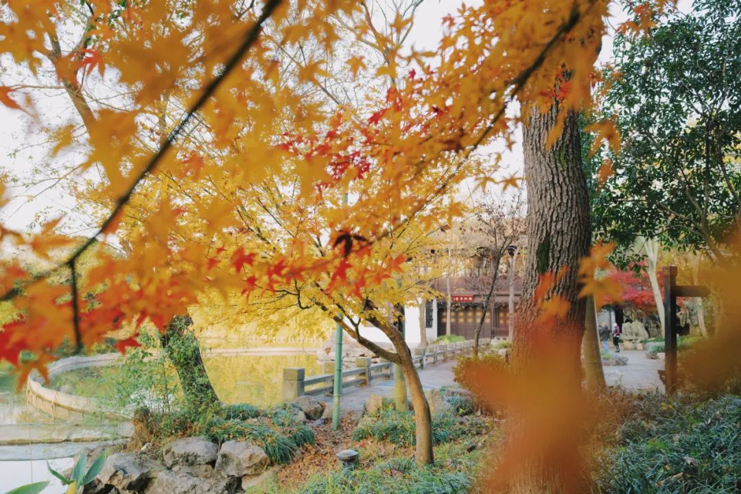 春天的潺潺溪水,春天的顶流