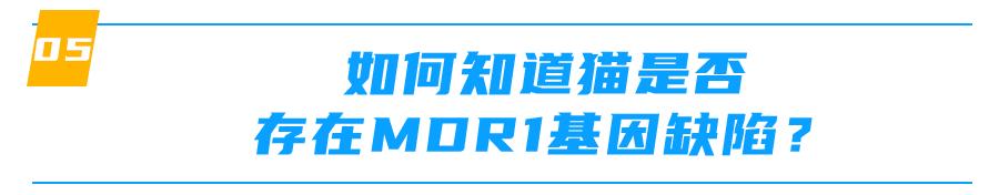 mdr1基因缺失什么意思,mdr1a怎么样