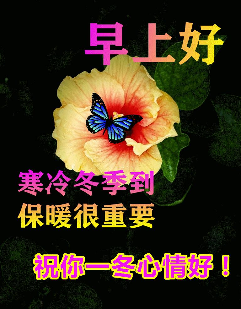 早晨好表情图片大全大图,下雨天的早晨好动态表情图片