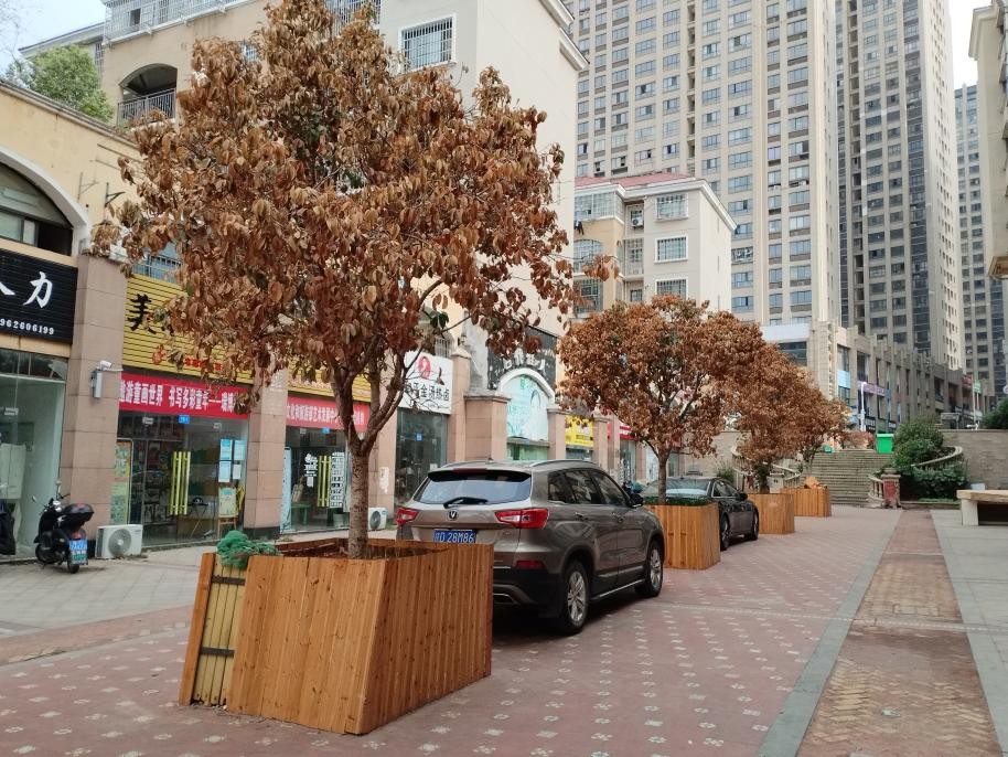 华为畅享50plus鸿蒙系统下载,华为畅享50可以升级鸿蒙吗