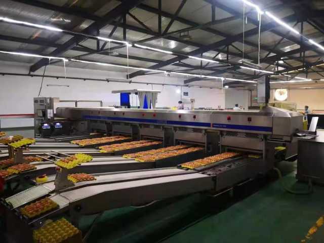 鸡蛋期货2007合约交割,鸡蛋期货最多交割多少手