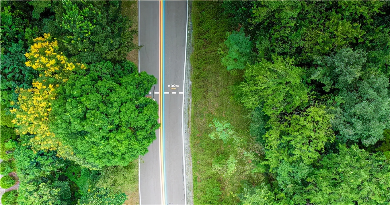 南京塑胶健身步道,10条南京最美步道