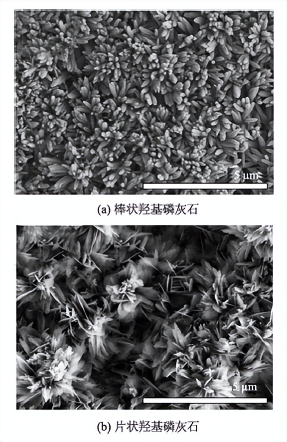 扫描电镜SEM分析流程,扫描电镜sem的缺陷及解决途径