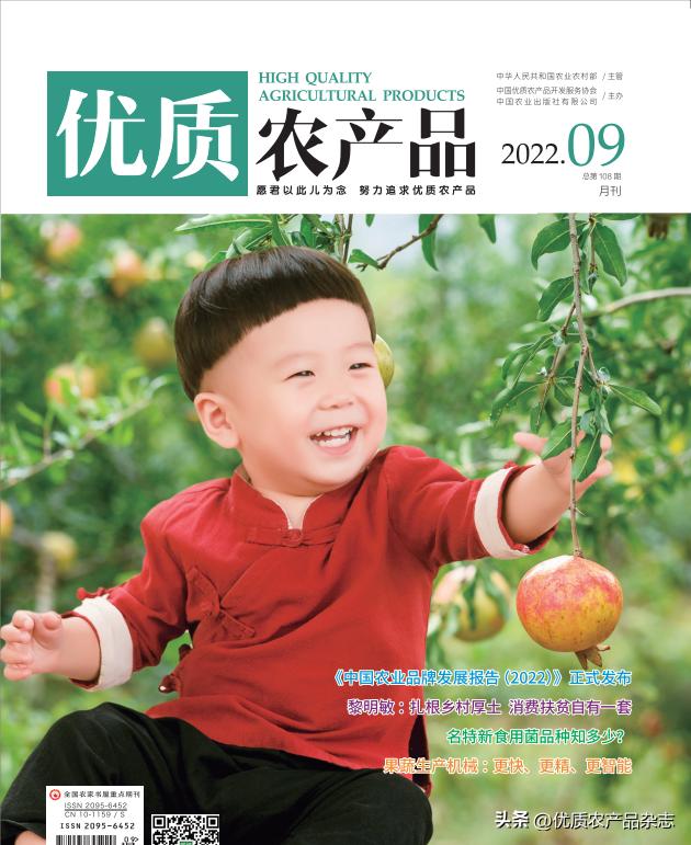 秋风起银杏叶黄,秋风起银杏黄原版