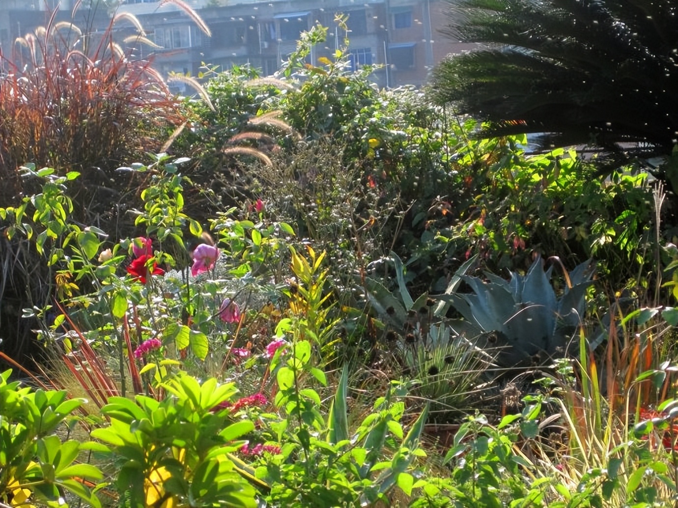 我的生活感悟4条，句句实话实说