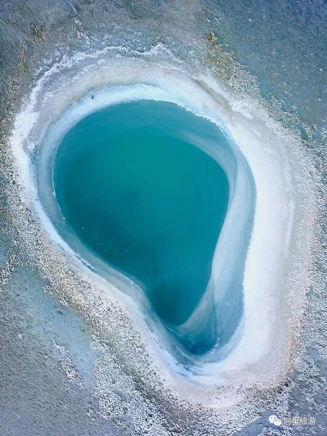 西藏最近很火的大地之树,网红大地之树