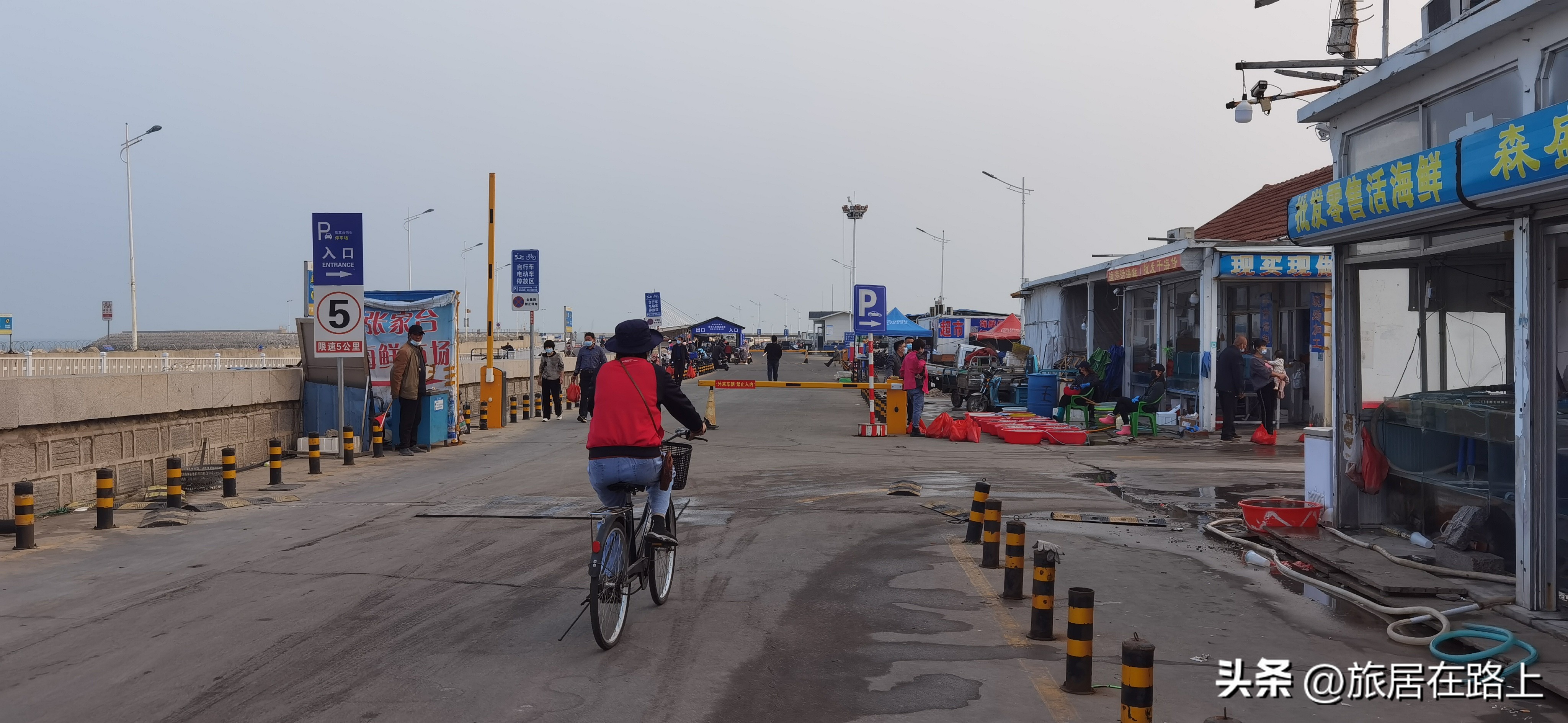 日照天气,日照直播