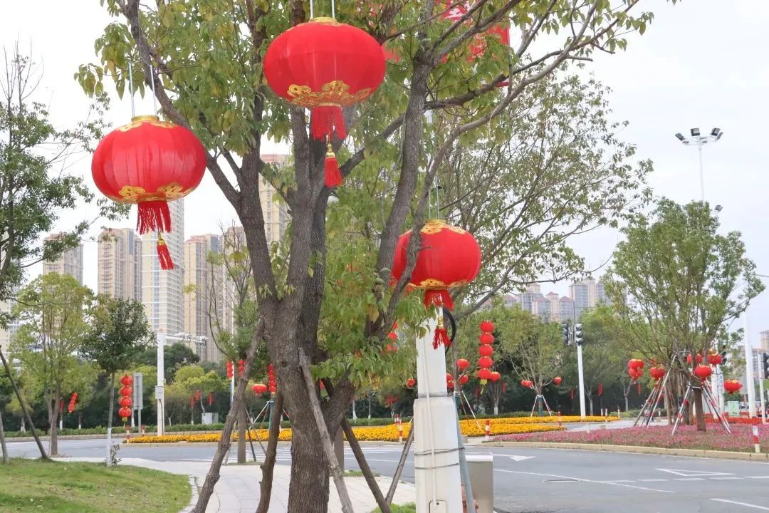 新春走基层年渐近年味浓,新春走基层石头村高挂迎客来