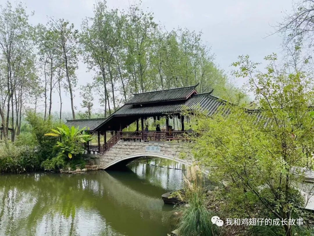 爱美丽推荐城市公园打卡第89-合肥游玩，必去10大经典打卡地推荐