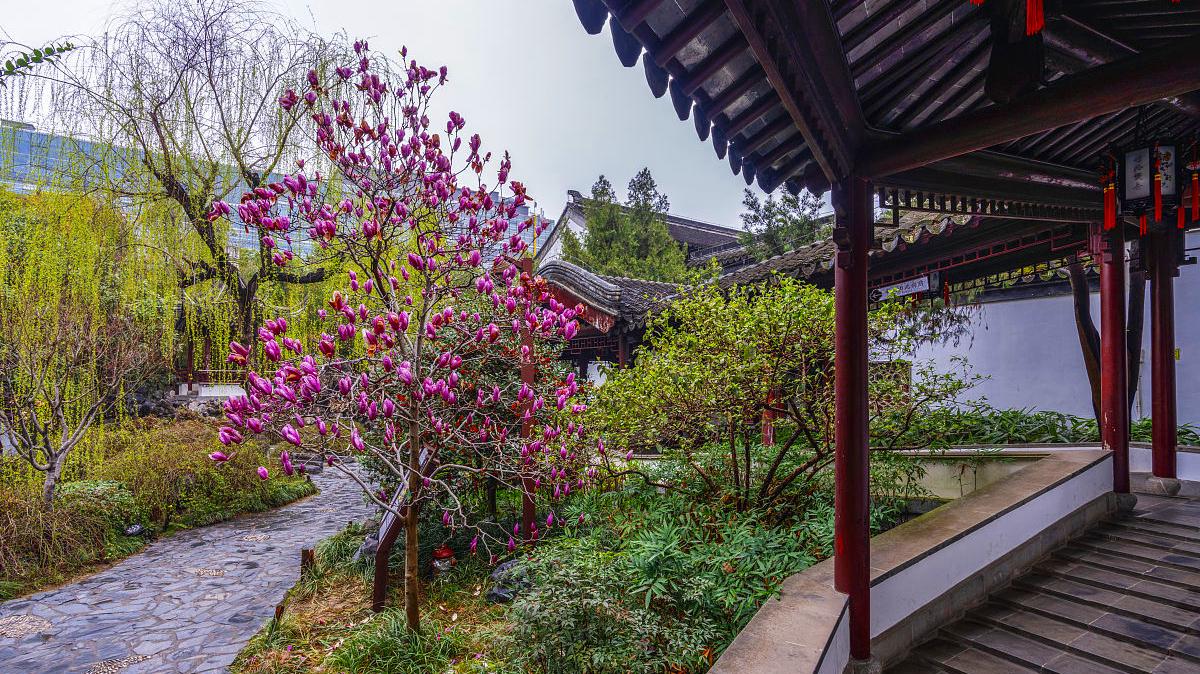 忽听春雨忆江南：三首令人心生美好的春雨小诗，你值得一读