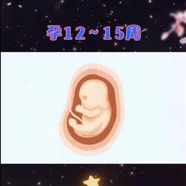 胎儿健康发育的基本知识,十秒钟带你了解胎儿发育