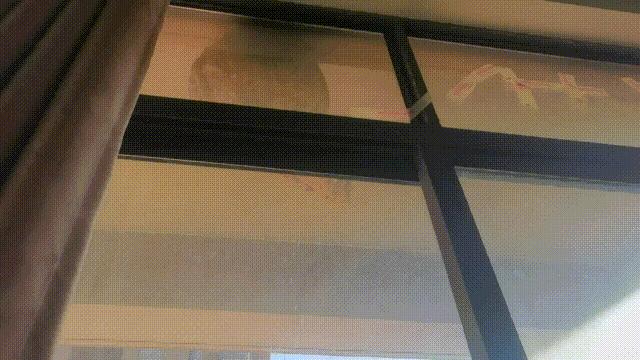 注意！170余起！它们又来了！