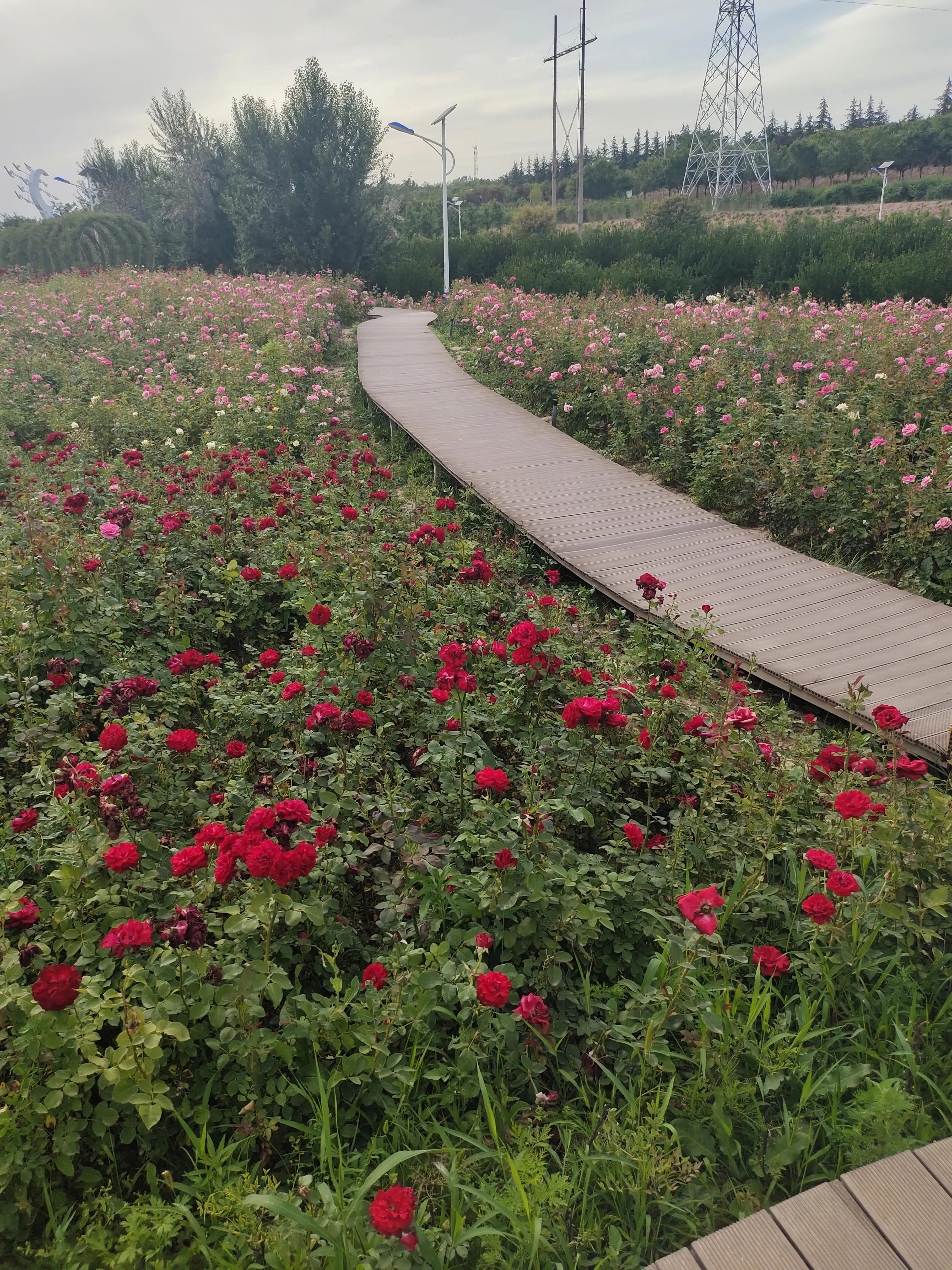 女人为什么不喜欢型男,女人如果不喜欢你会有哪些表现