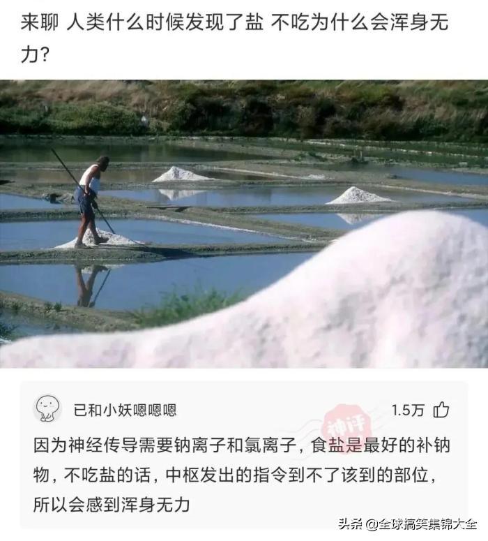 神回复不按套路出牌,神回复答出的都是高手