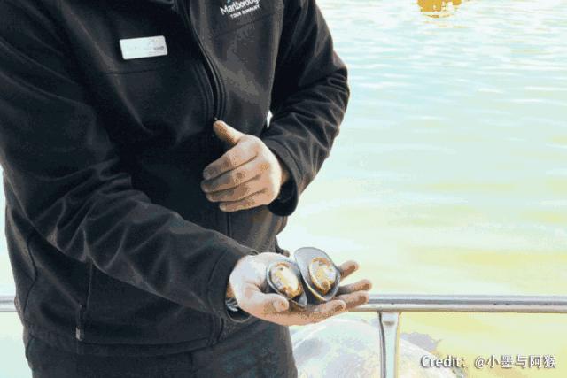 游记分享推送,游记分享我的旅行日记