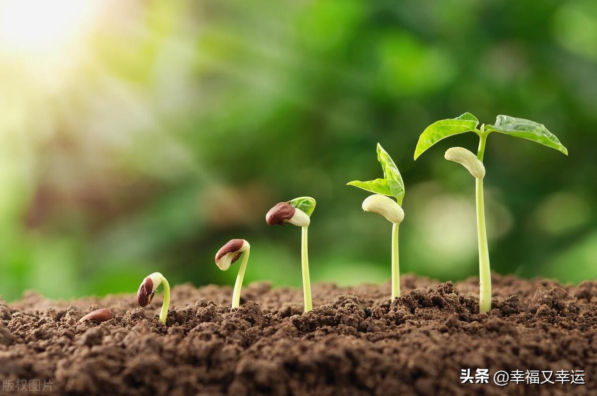 人一辈子就是个还债的过程,活着就是为了还债活着还有意义吗