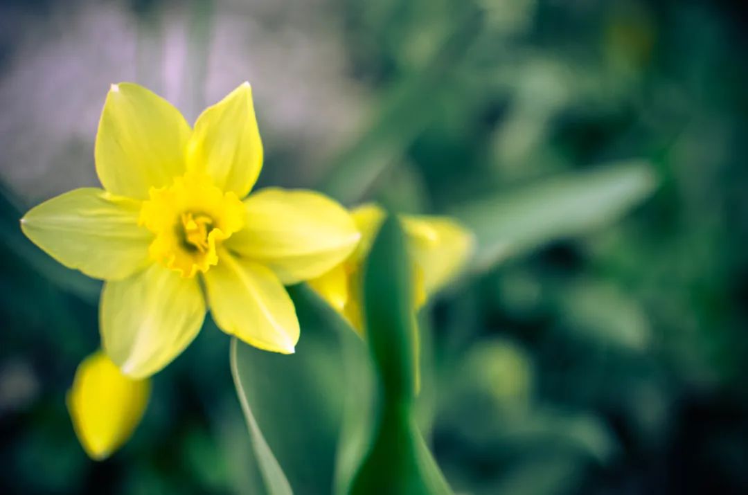 30句超唯美扎心的诗句,抒情温柔的唯美诗句