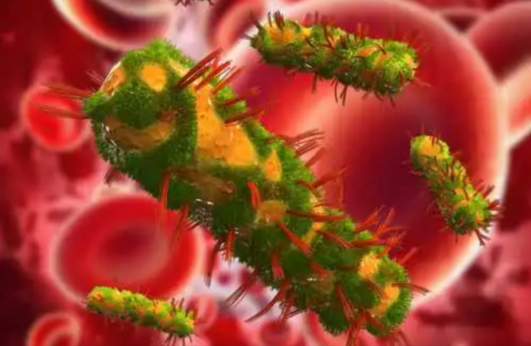 一个女人没有了子宫,女性没有子宫会怎么样