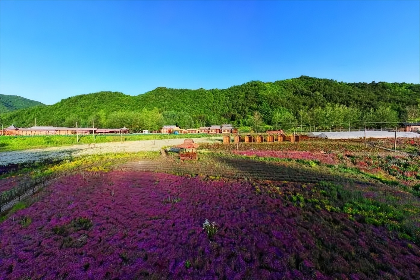 夏天游玩路线,夏天旅游最佳路线推荐