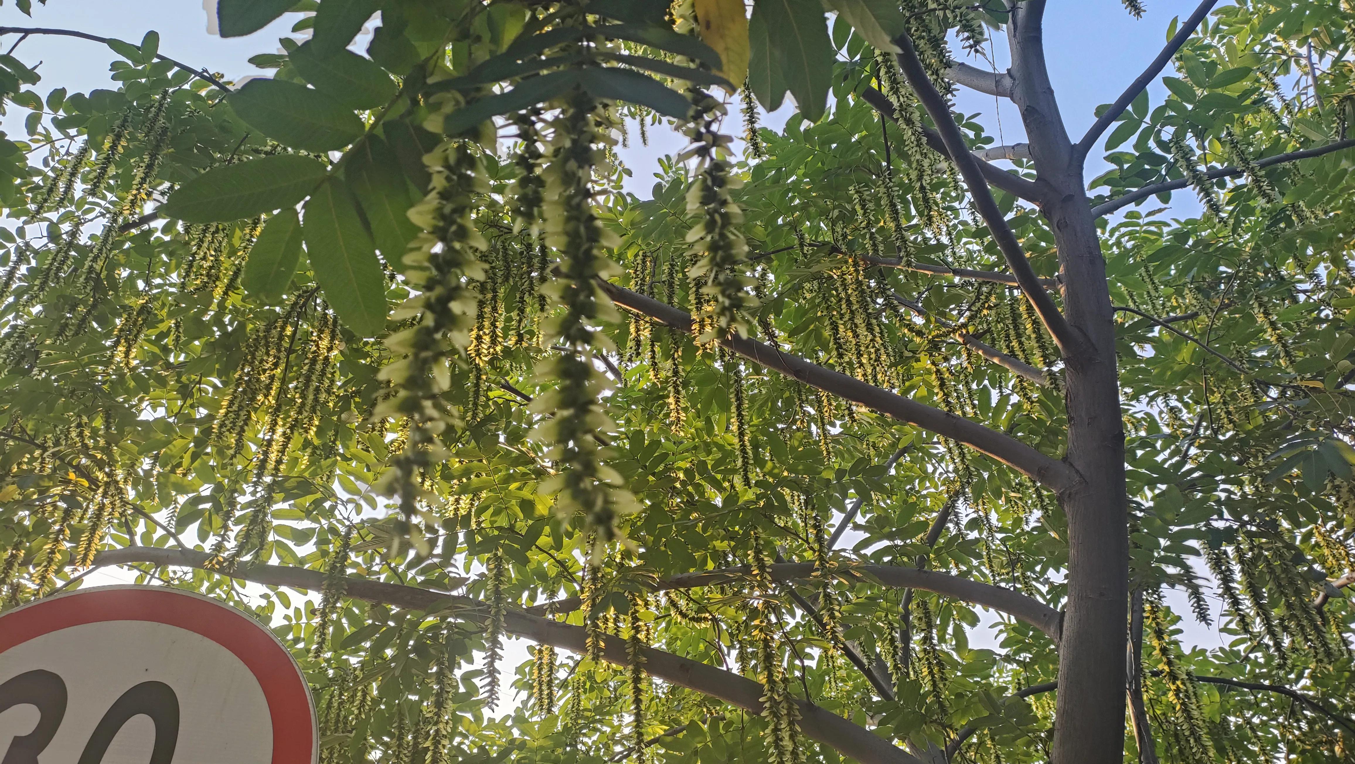 东莞到杭州自由行路线,从广州到杭州沿途风景