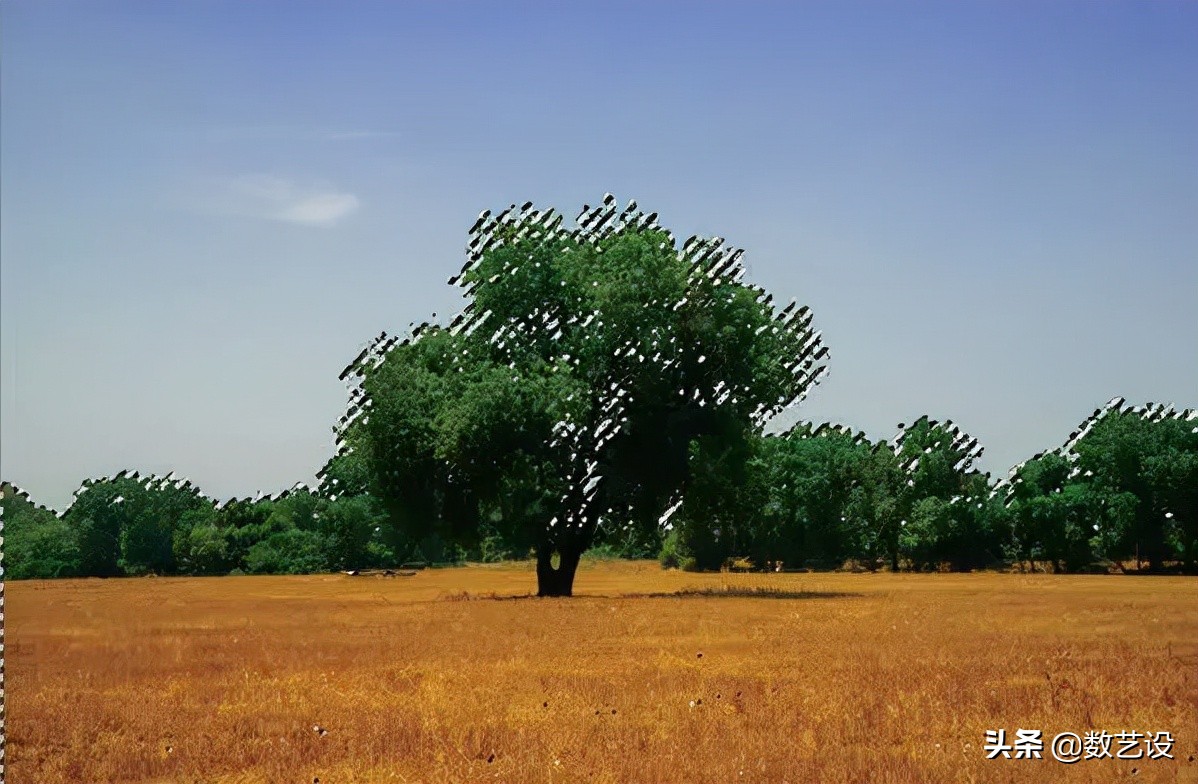 通道抠图如何选择对比强烈的,通道抠图知识点