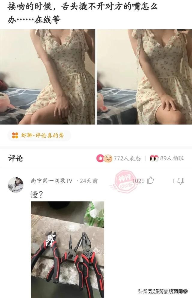 神回复：用日本的*旗国**擦屁股犯法吗？神评绝了，让我大开眼界