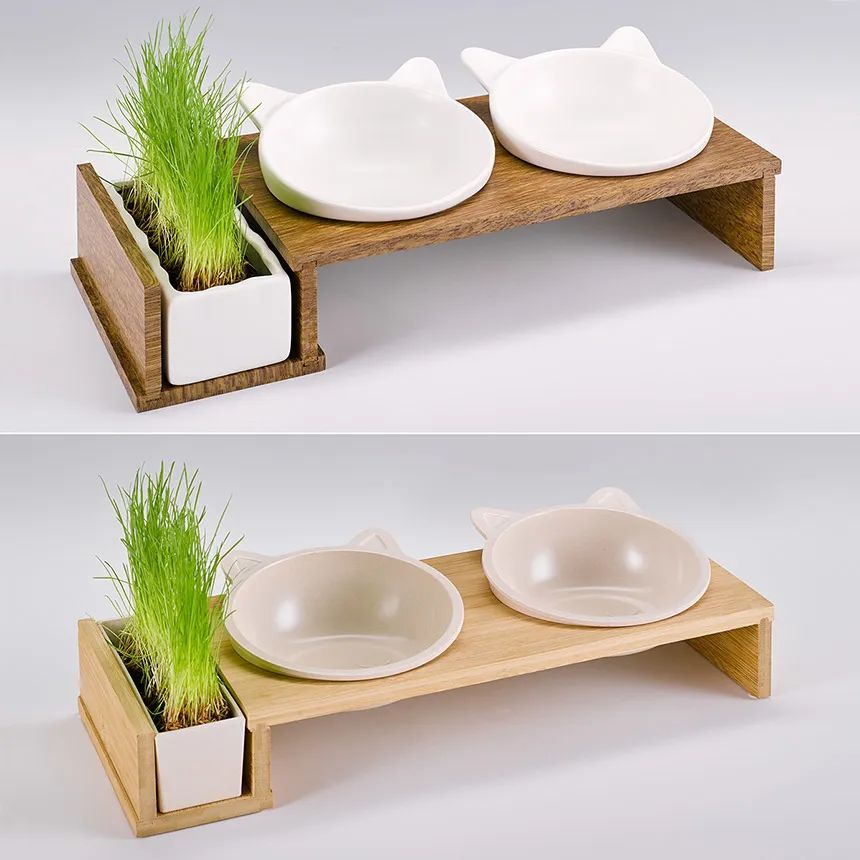 抄袭金鼻子的人,德国抄袭大奖