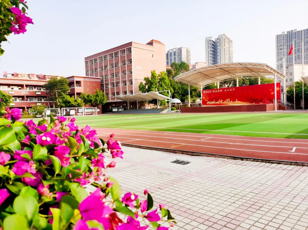 东莞四海学校招生简章,东莞2024石碣四海学校排名怎么样