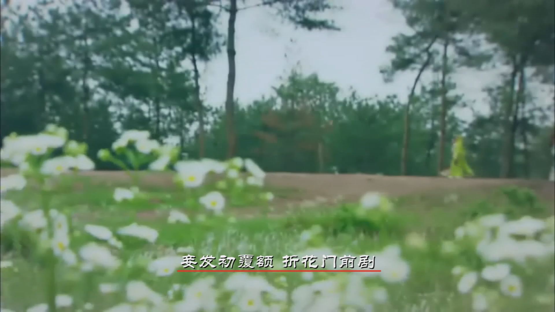 唐之韵文字解说词第二集,唐之韵二十集电视纪录片题目