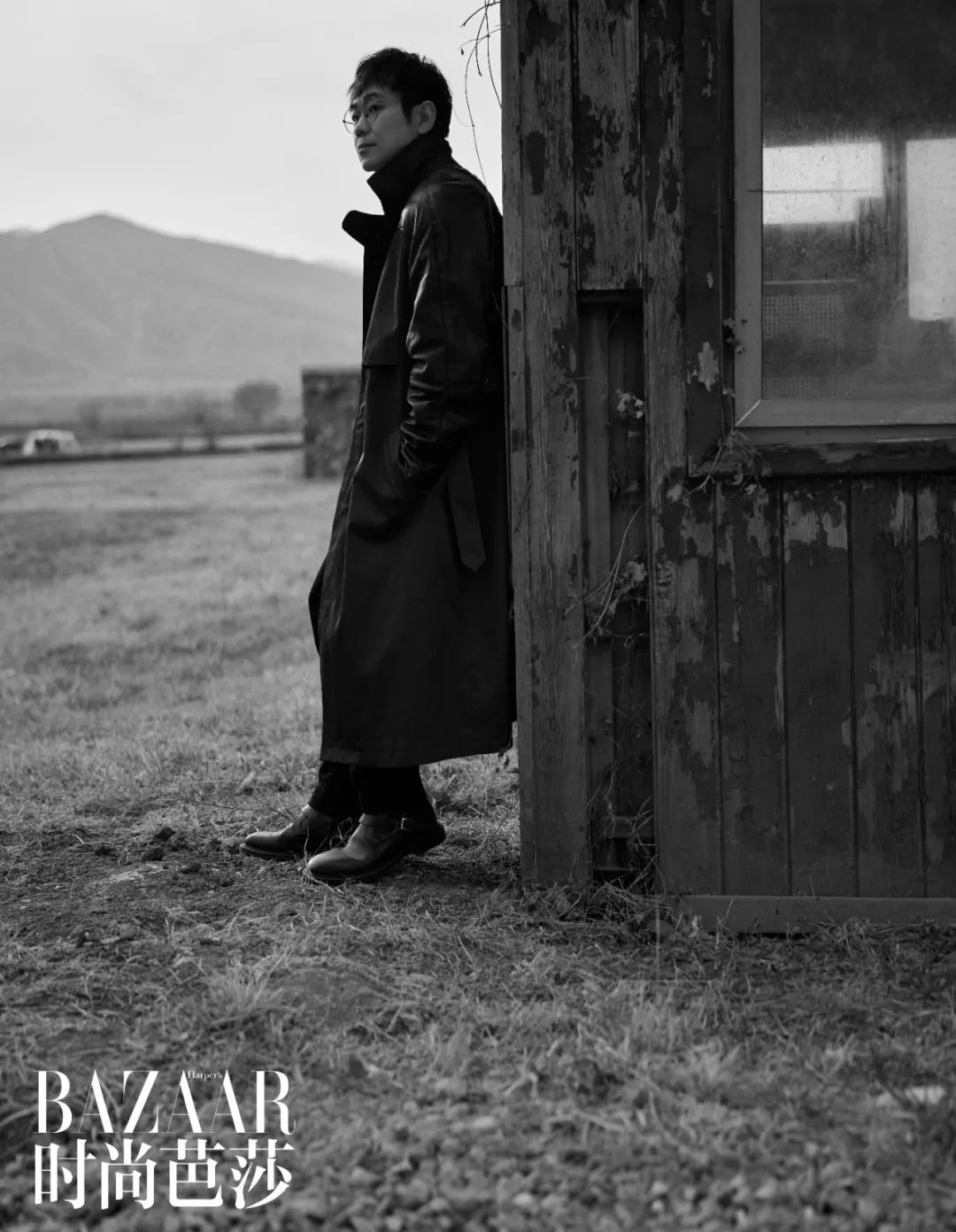 大鹏的所有剧,大鹏的精彩电影