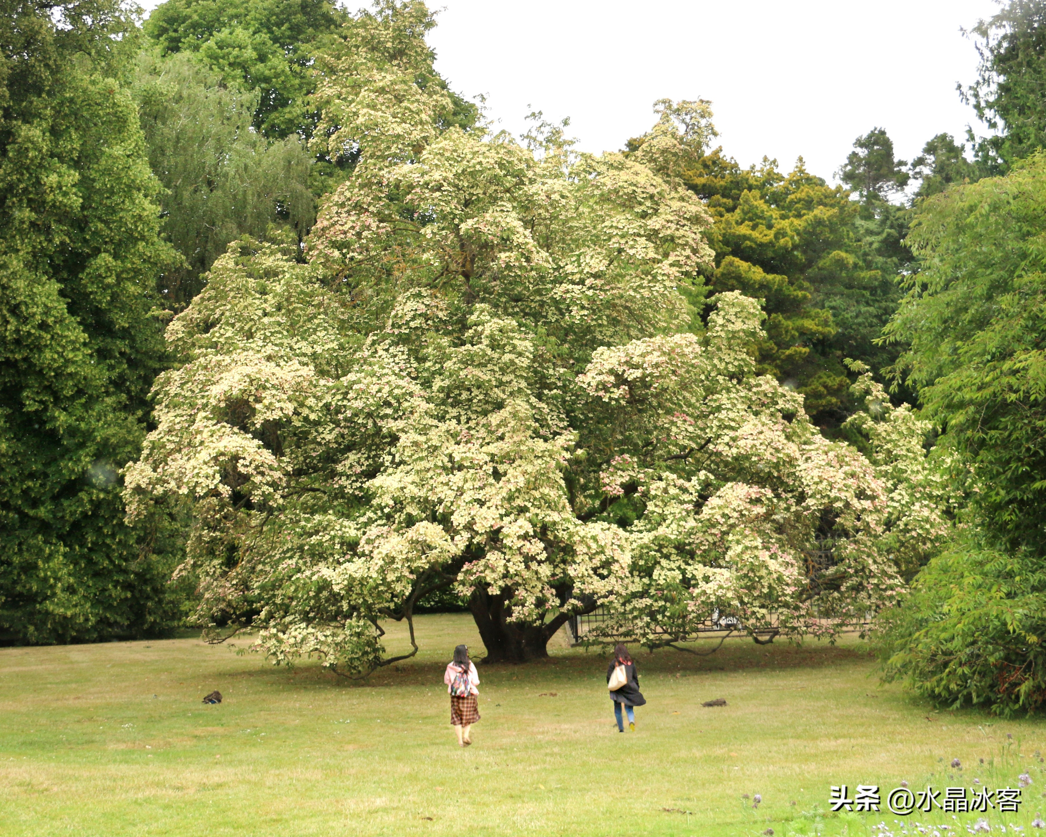 南岛新西兰之旅,新西兰之南岛